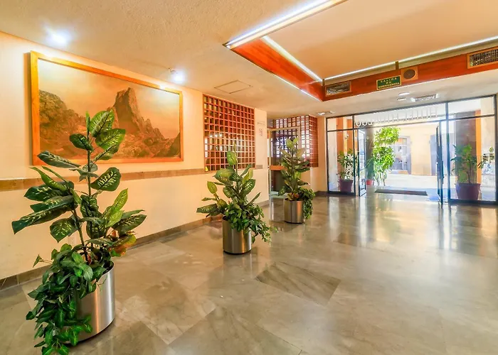 Oyo Hidalgo Hotel