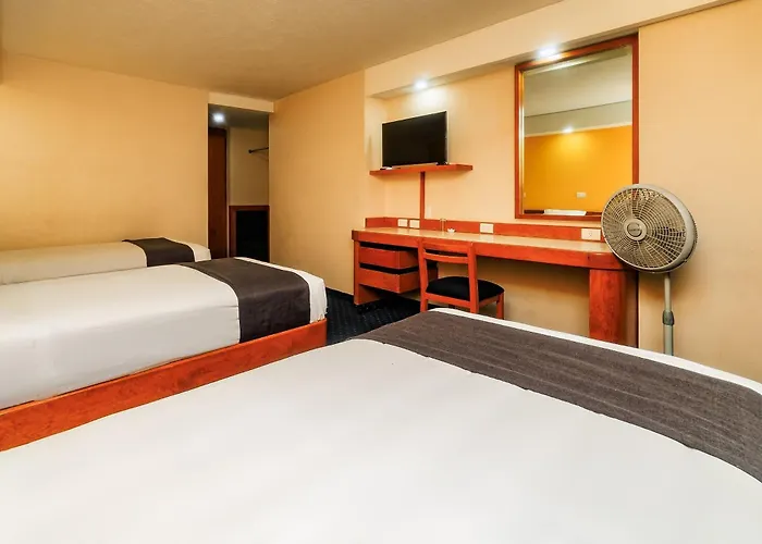 Hotel Oyo Hidalgo 3*