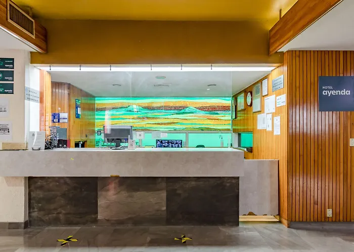 Oyo Hidalgo Hotel México DF