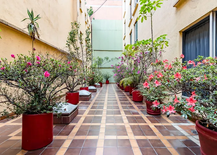 Oyo Hidalgo México DF