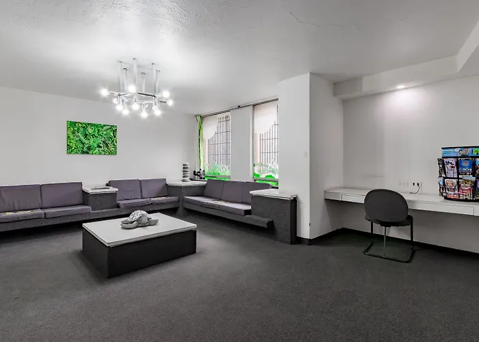 Hotel Oyo Hidalgo 3*