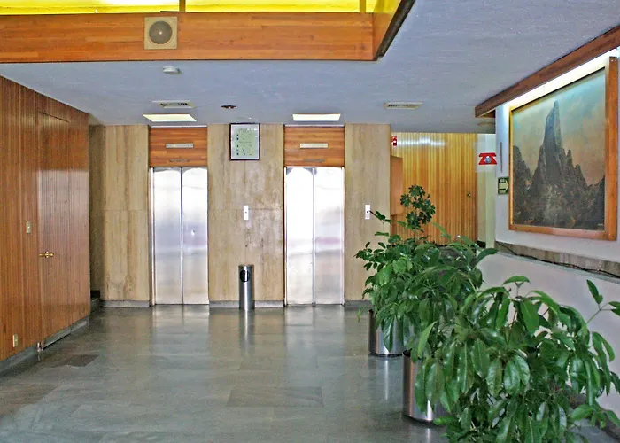 Oyo Hidalgo Hotel